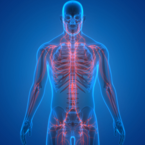 Биопсия периферических лимфатических узлов - фото 3