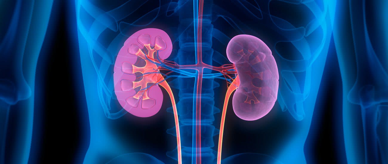 Рентгенография почек