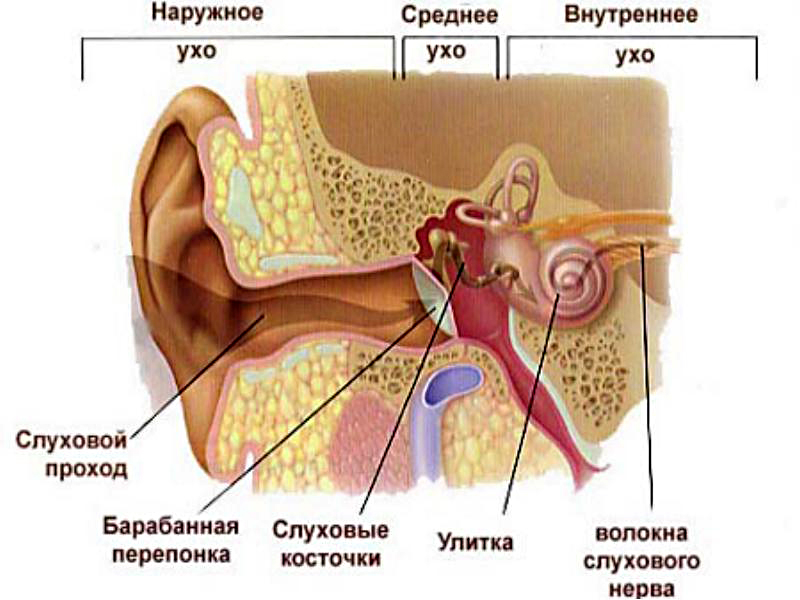 КТ височной кости