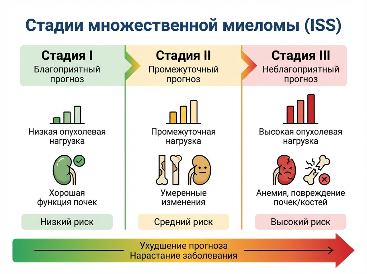Множественная миелома — 2