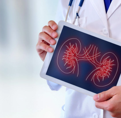 Профилактика в урологии