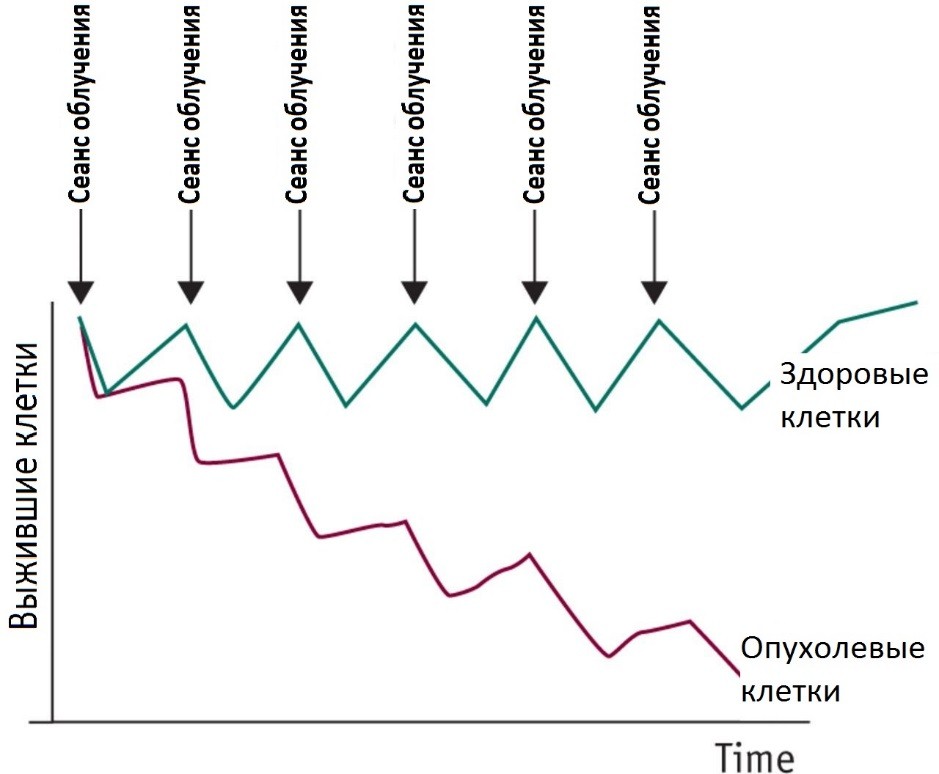 Лечение в клинике Медскан